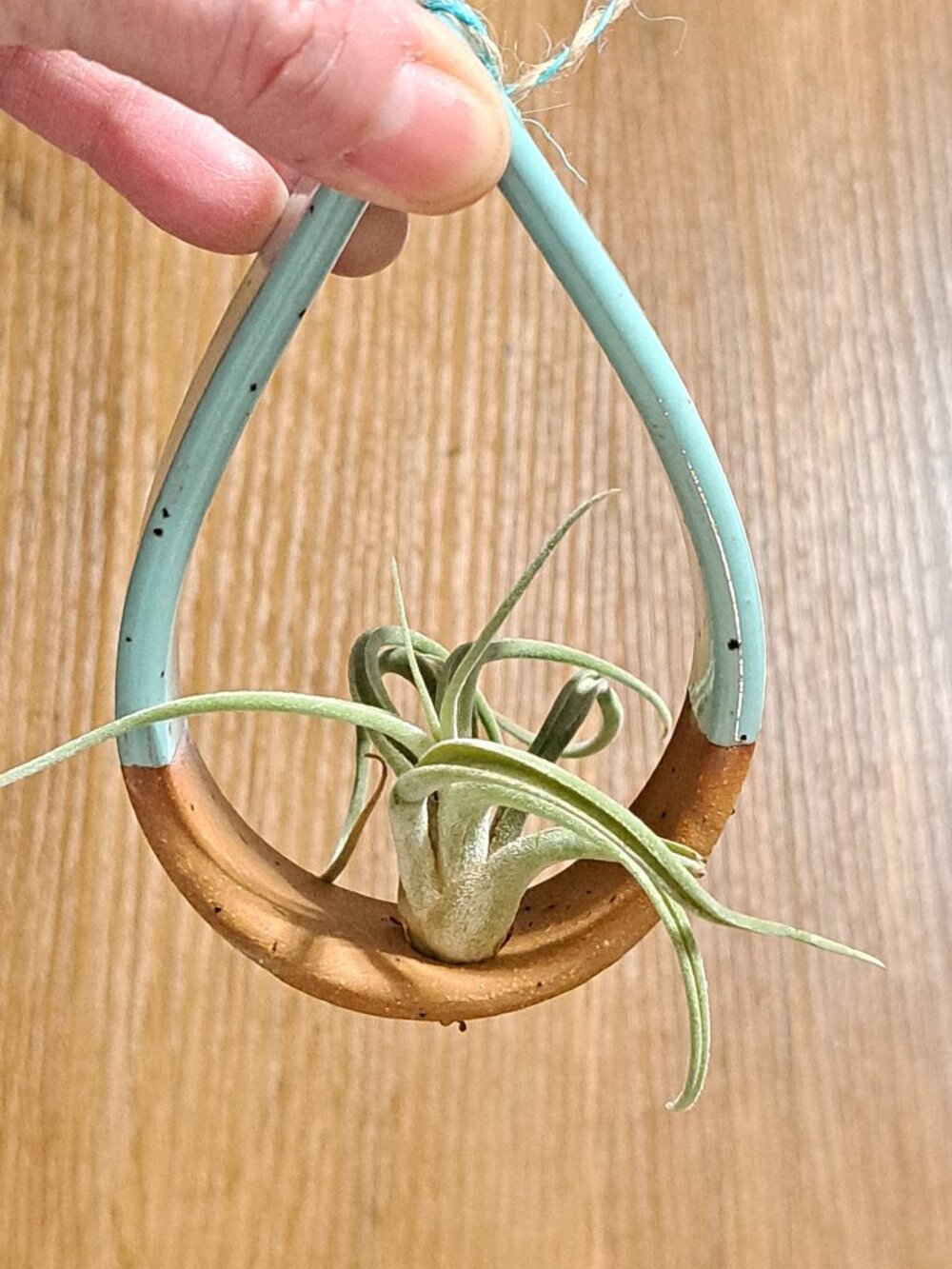 Handmade Ceramic Air Plant Holder